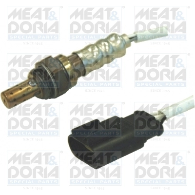 Oxygen Sensor